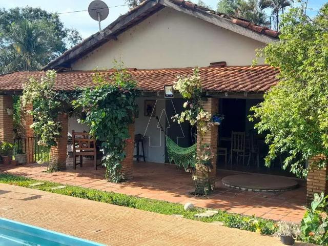 Sítio / Chácara para Venda em Araçatuba/SP Conjunto Habitacional Pedro Perri 4 Quartos