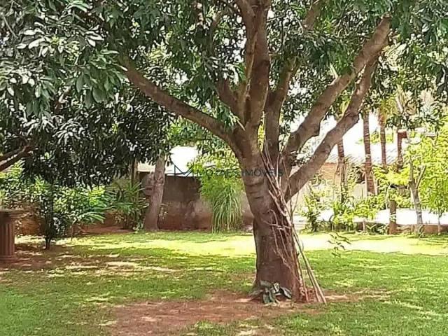 Sítio / Chácara para Venda em Araçatuba/SP Chácaras Arco Íris 2 Quartos