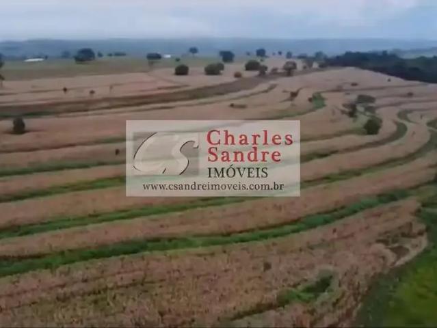 Sítio / Chácara para Venda em Araçu/GO Zona Rural 1 Quartos