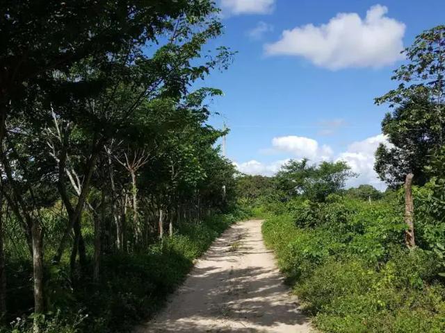 Sítio / Chácara para Venda em Aracaju/SE Areia Branca