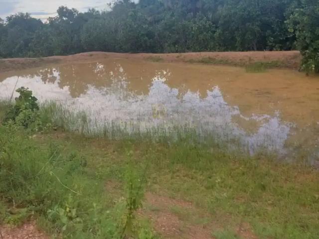 Sítio / Chácara para Venda em Aragarças/GO Zona Rural