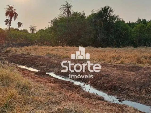 Sítio / Chácara para Venda em Araguari/MG Área Rural de Araguari 2 Quartos