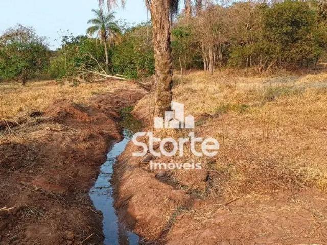 Sítio / Chácara para Venda em Araguari/MG Área Rural de Araguari