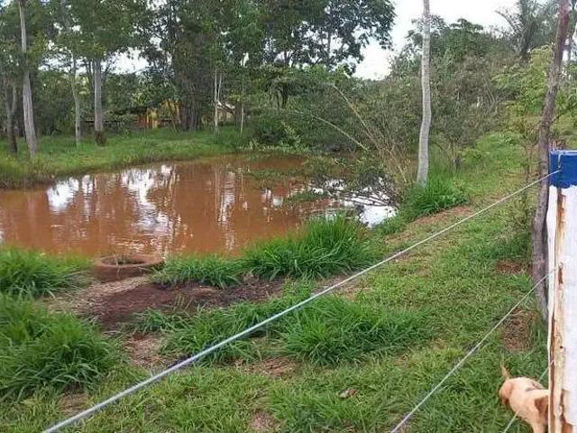 Sítio / Chácara para Venda em Araguari/MG Área Rural de Araguari