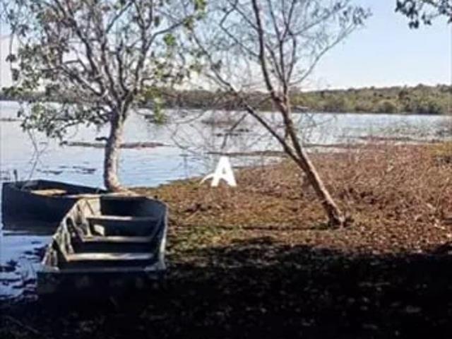 Sítio / Chácara para Venda em Araguari/MG Área Rural de Araguari