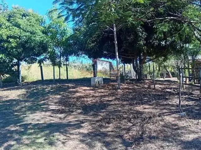 Sítio / Chácara para Venda em Araguari/MG Área Rural de Araguari