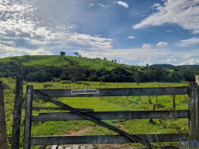 Sítio / Chácara para Venda em Araguari/MG Área Rural de Araguari
