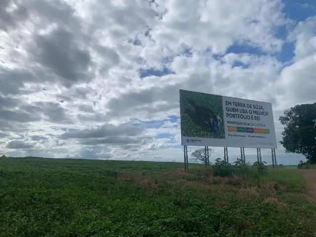 Sítio / Chácara para Venda em Arapongas/PR Área Rural de Arapongas