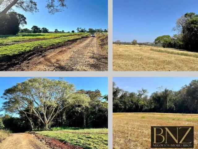 Sítio / Chácara para Venda em Arapongas/PR Área Rural de Arapongas