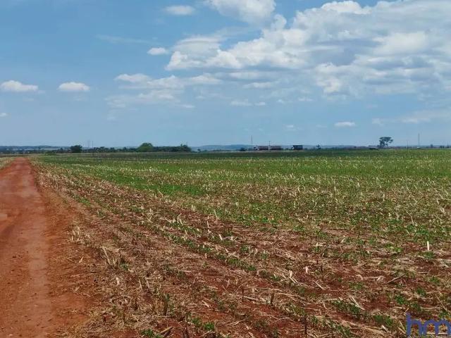 Sítio / Chácara para Venda em Araporã/MG Área Rural de Araporã
