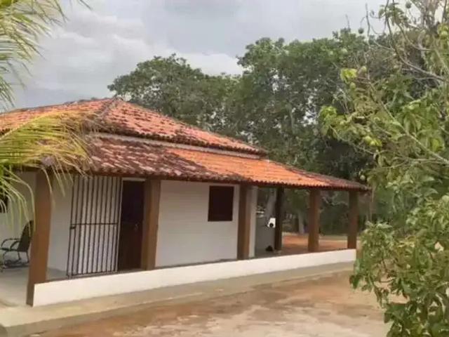 Sítio / Chácara para Venda em Arapiraca/AL Boa Vista 2 Quartos