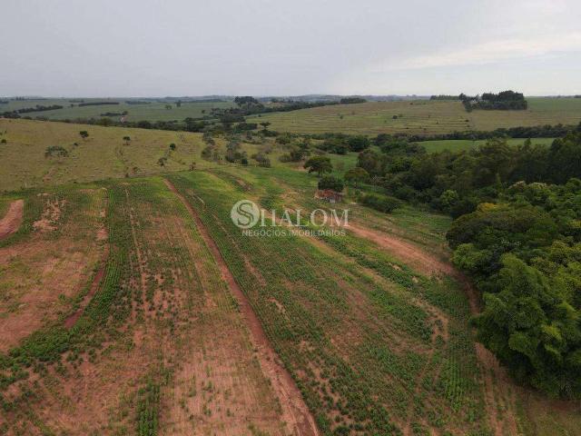 Sítio / Chácara para Venda em Araruna/PR Zona Rural 1 Quartos
