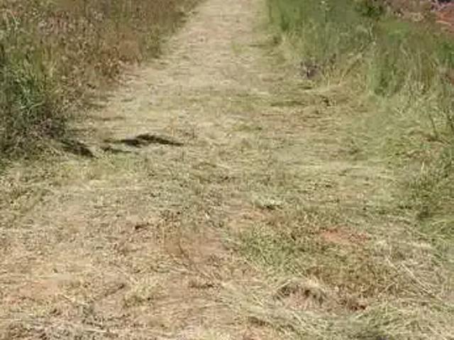 Sítio / Chácara para Venda em Araucária/PR Rio Verde de Cima