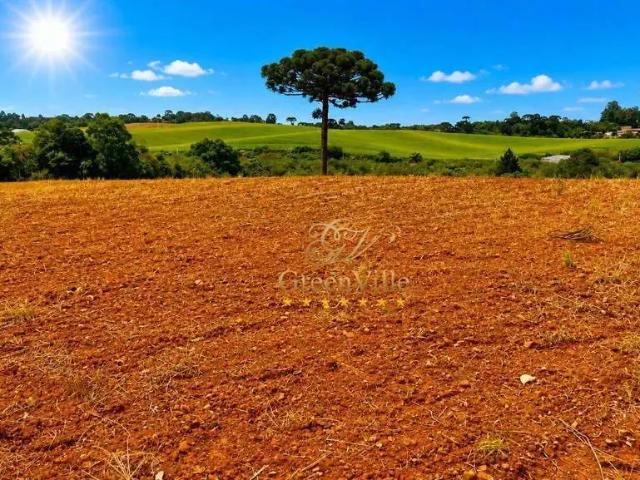 Sítio / Chácara para Venda em Araucária/PR Thomaz Coelho 1 Quartos
