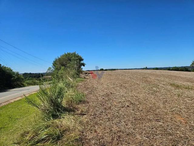 Sítio / Chácara para Venda em Araucária/PR Área Rural de Araucária 1 Quartos