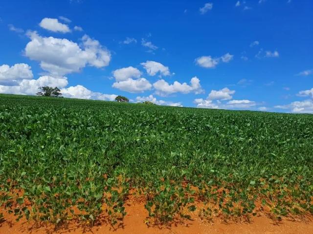 Sítio / Chácara para Venda em Araxá/MG Área Rural de Araxá