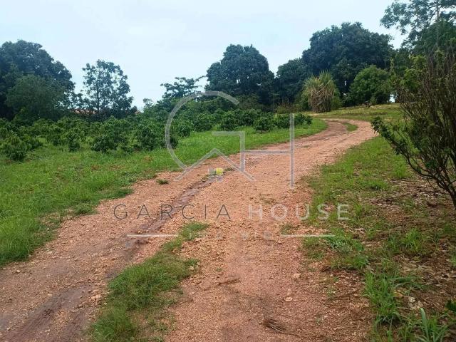 Sítio / Chácara para Venda em Arceburgo/MG Zona Rural 3 Quartos