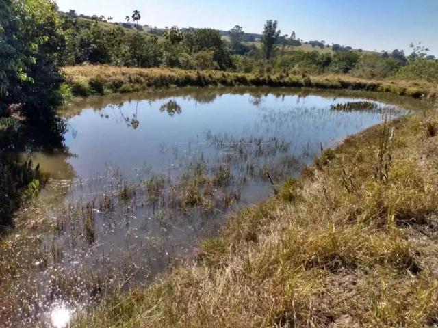 Sítio / Chácara para Venda em Arealva/SP Santa Izabel 3 Quartos