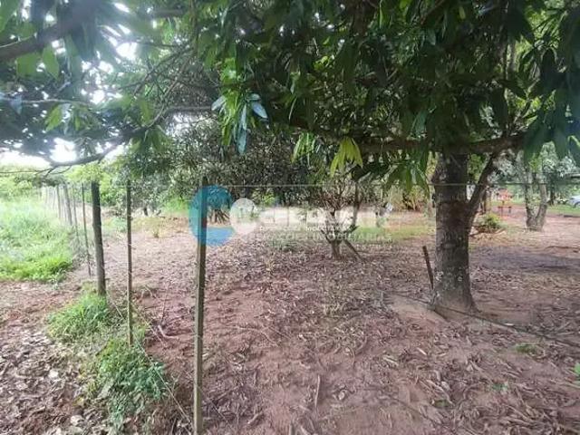 Sítio / Chácara para Venda em Arealva/SP Zona Rural 1 Quartos
