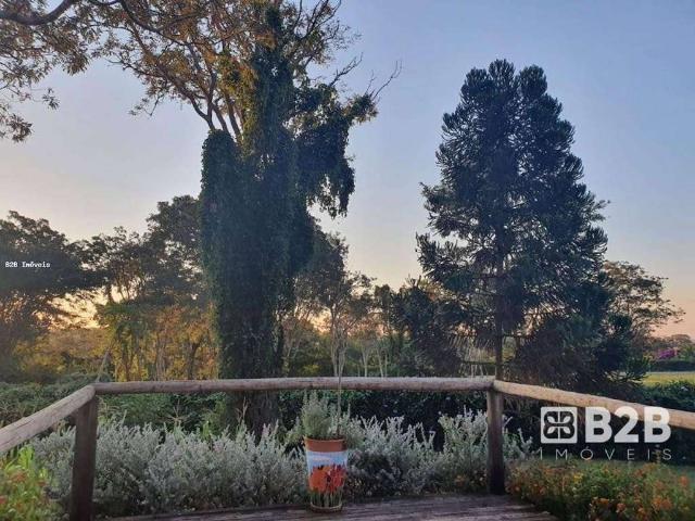 Sítio / Chácara para Venda em Arealva/SP Zona Rural 2 Quartos
