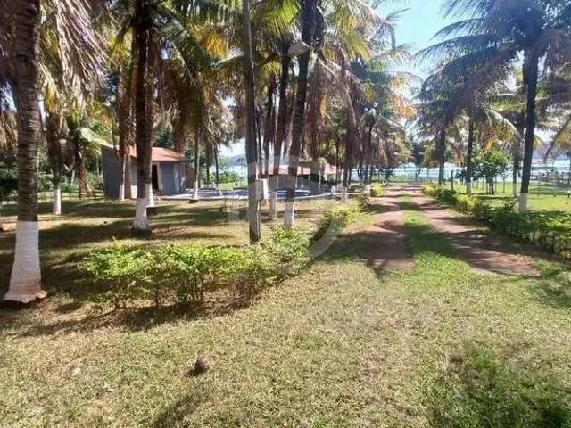 Sítio / Chácara para Venda em Arealva/SP Zona Rural 5 Quartos
