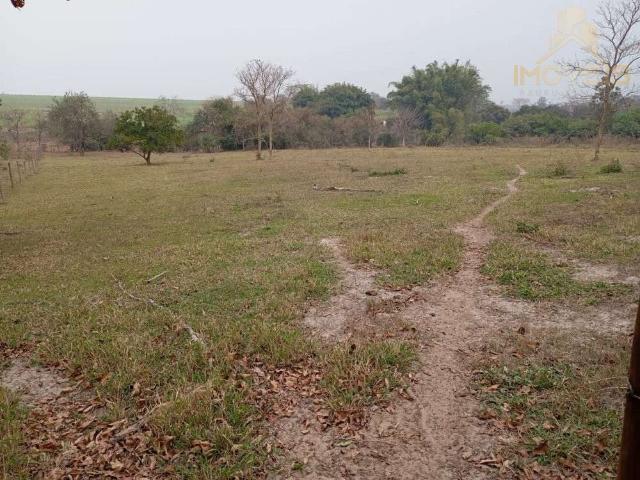 Sítio / Chácara para Venda em Arealva/SP Zona Rural