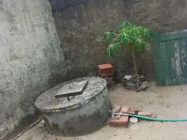 Sítio / Chácara para Venda em Areia Branca/SE Zona Rural 2 Quartos