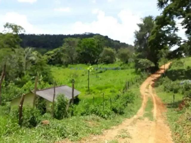 Sítio / Chácara para Venda em Argirita/MG Centro 4 Quartos
