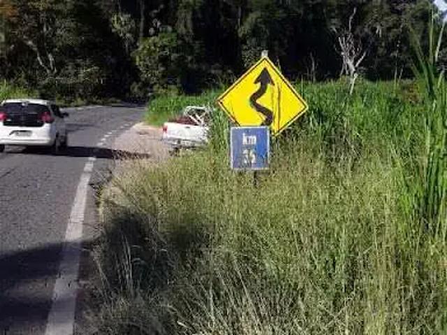 Sítio / Chácara para Venda em Argirita/MG Centro 4 Quartos