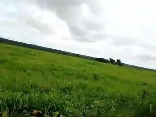 Sítio / Chácara para Venda em Arinos/MG Zona Rural