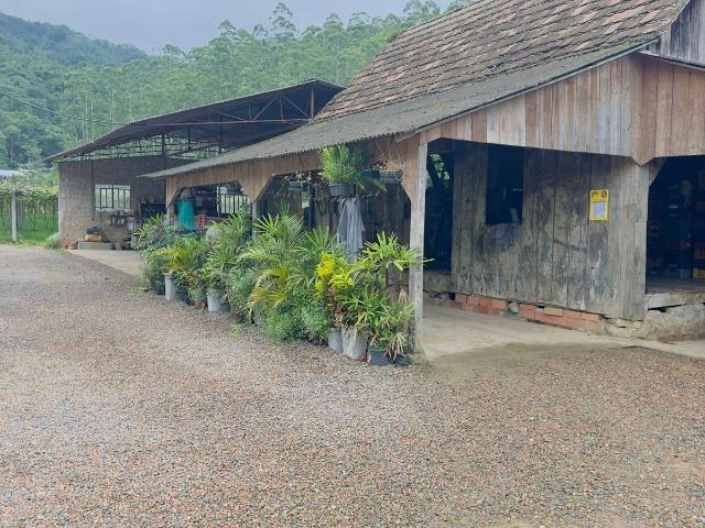 Sítio / Chácara para Venda em Ascurra/SC Zona Rural 3 Quartos