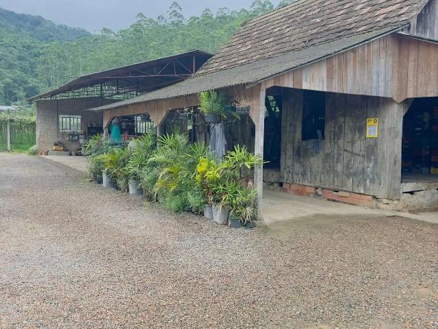 Sítio / Chácara para Venda em Ascurra/SC Zona Rural 3 Quartos