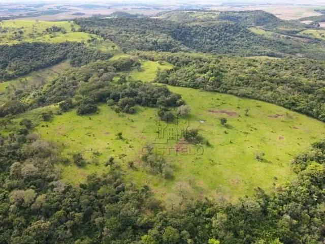 Sítio / Chácara para Venda em Assaí/PR Zona Rural 1 Quartos
