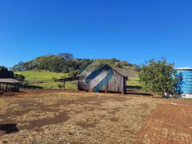 Sítio / Chácara para Venda em Assaí/PR Zona Rural 1 Quartos