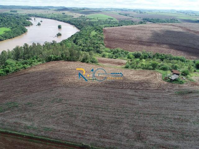 Sítio / Chácara para Venda em Assaí/PR Zona Rural 2 Quartos