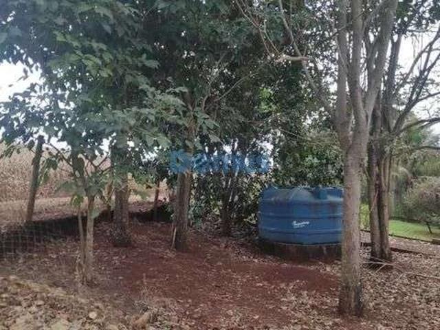 Sítio / Chácara para Venda em Assaí/PR Zona Rural 3 Quartos