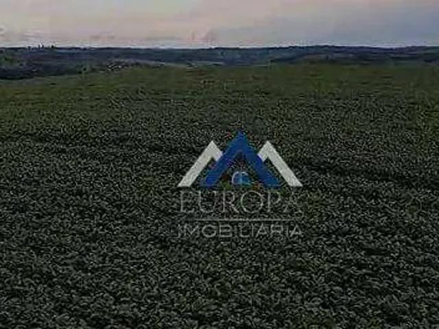 Sítio / Chácara para Venda em Assaí/PR Zona Rural