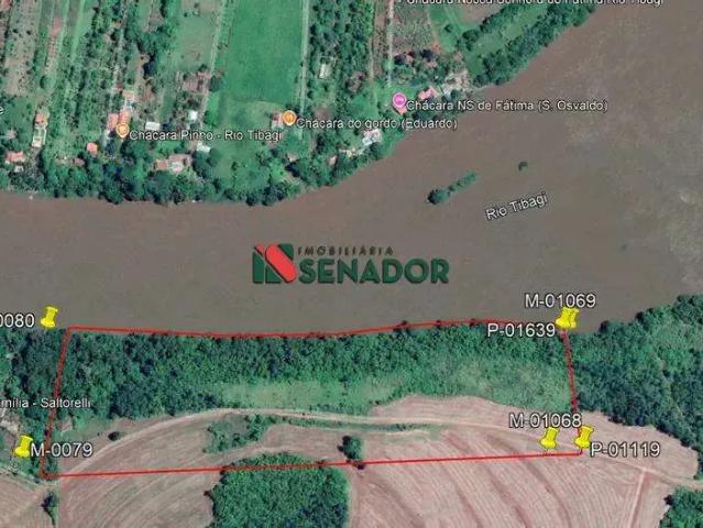 Sítio / Chácara para Venda em Assaí/PR Pau D'Alho do Sul
