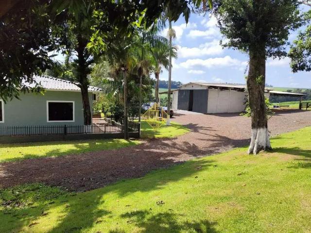 Sítio / Chácara para Venda em Assis Chateaubriand/PR Zona Rural 5 Quartos