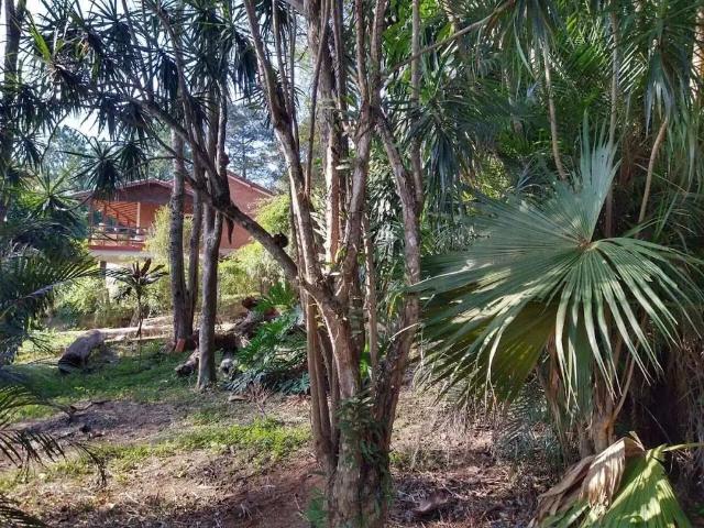 Sítio / Chácara para Venda em Atibaia/SP Jardim Estância Brasil 3 Quartos
