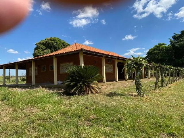 Sítio / Chácara para Venda em Auriflama/SP Zona Rural 4 Quartos