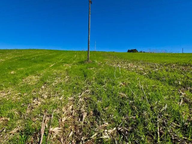 Sítio / Chácara para Venda em Aurora/SC Área Rural de Aurora 1 Quartos