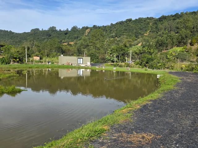 Sítio / Chácara para Venda em Aurora/SC Área Rural de Aurora 2 Quartos