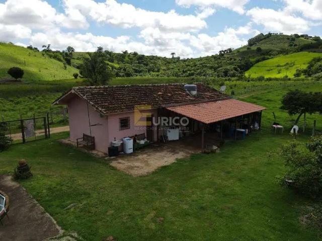 Sítio / Chácara para Venda em Botelhos/MG Zona Rural