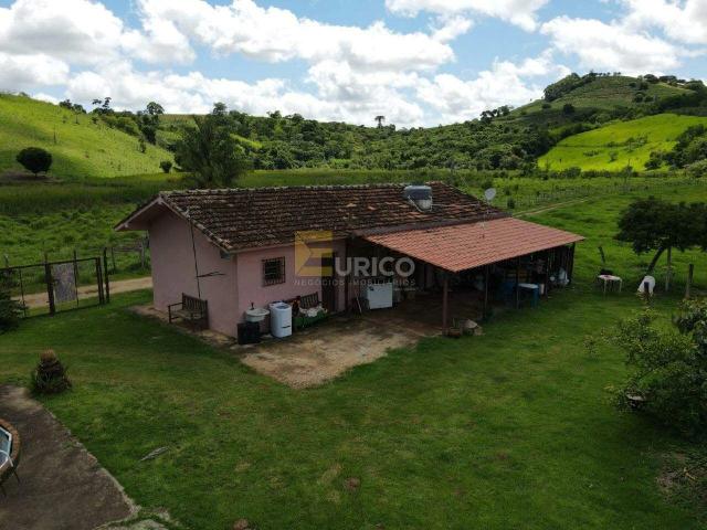 Sítio / Chácara para Venda em Botelhos/MG Zona Rural