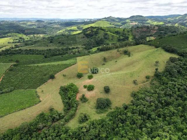 Sítio / Chácara para Venda em Botelhos/MG Zona Rural