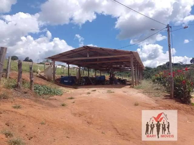 Sítio / Chácara para Venda em Botelhos/MG Centro 3 Quartos