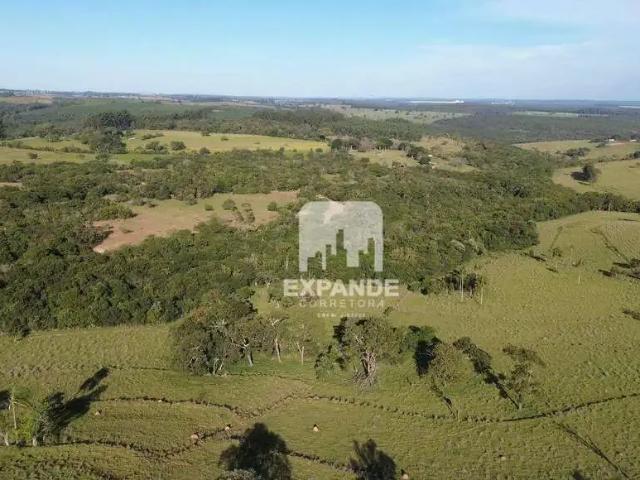Sítio / Chácara para Venda em Botucatu/SP Zona Rural