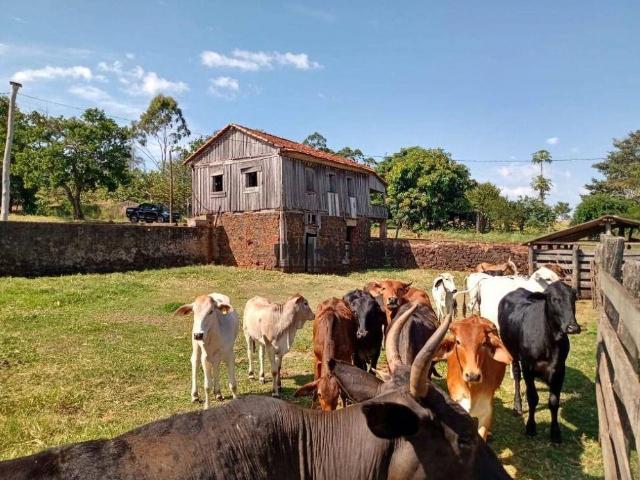 Sítio / Chácara para Venda em Botucatu/SP Zona Rural