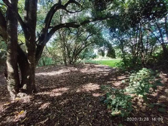 Sítio / Chácara para Venda em Botucatu/SP Zona Rural